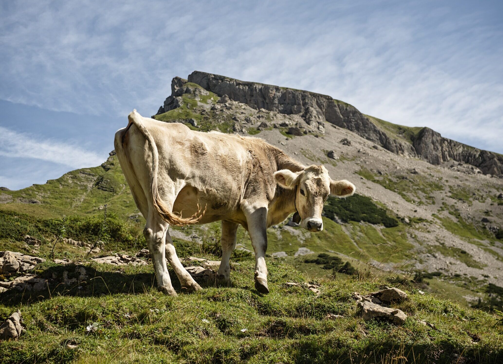 Bergwanderung im Kleinwalsertal