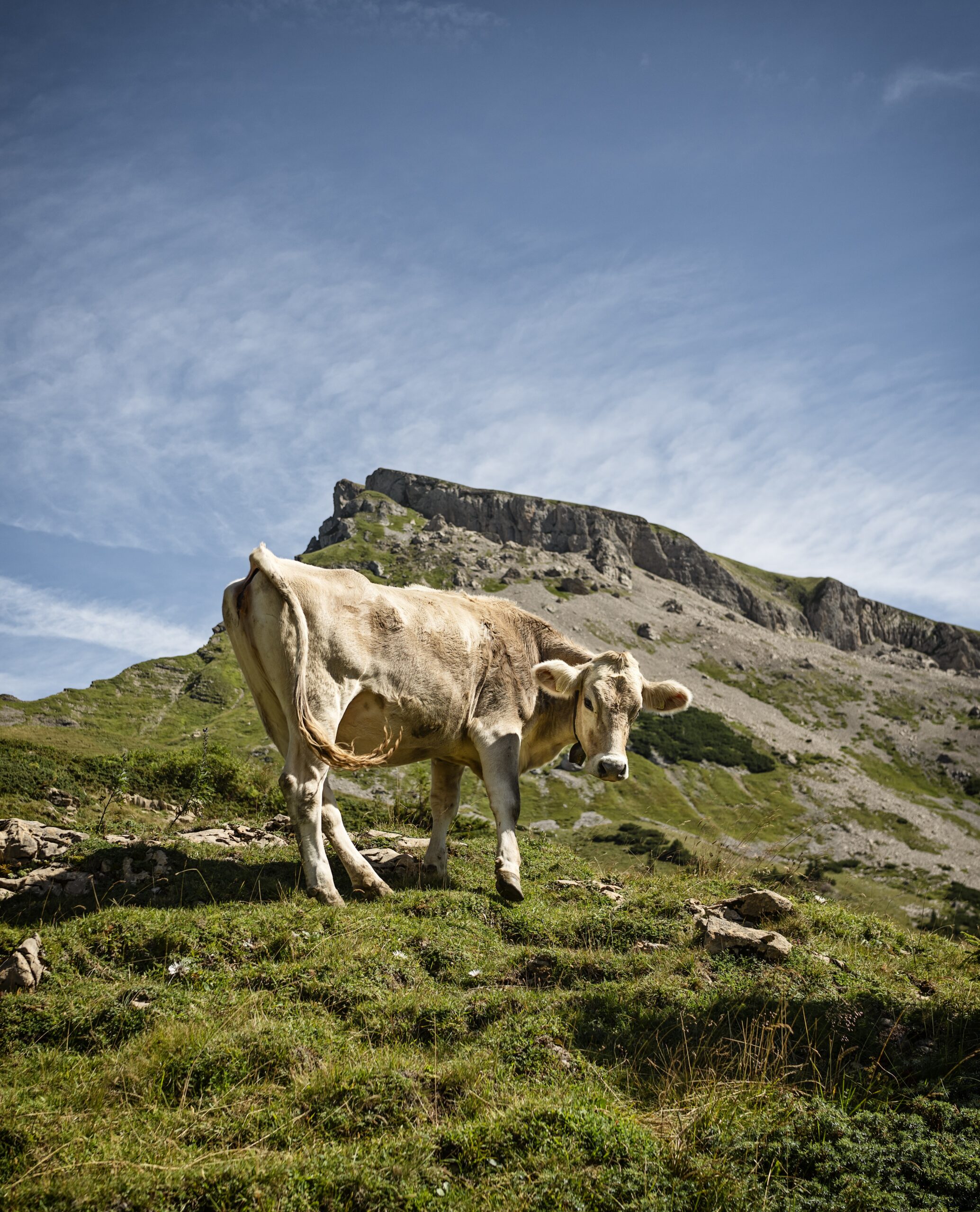 Bergwanderung im Kleinwalsertal