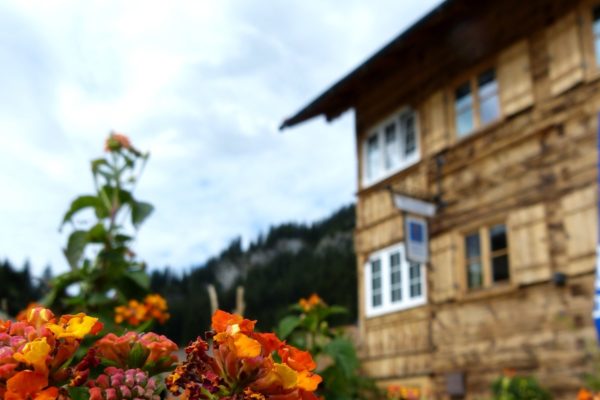 auenhuette-laubela-aussenansicht-sommer-blumen