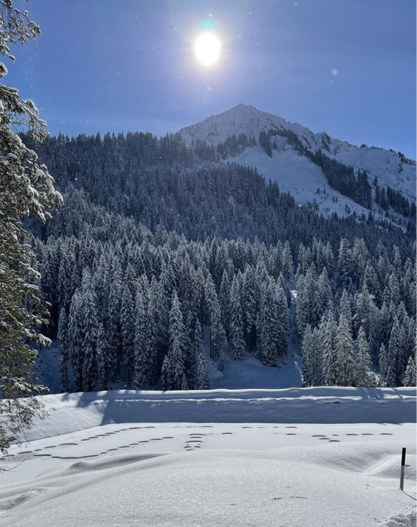 Auenhütte Kleinwalsertal Bergpanorama Winter